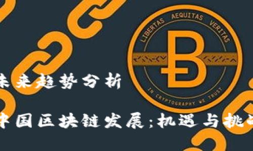 未来趋势分析
中国区块链发展:机遇与挑战