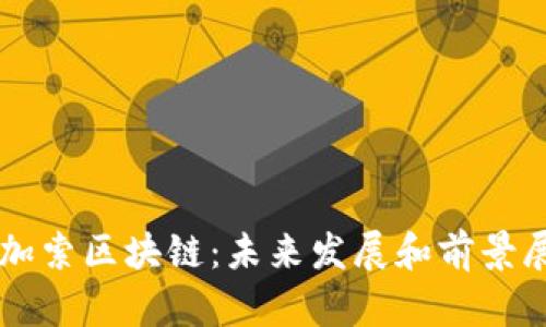 毕加索区块链:未来发展和前景展望