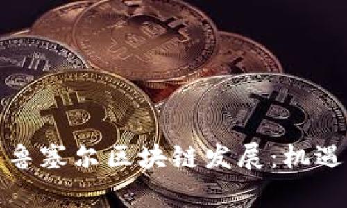 探析布鲁塞尔区块链发展:机遇与挑战