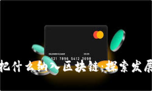 把什么纳入区块链:探索发展