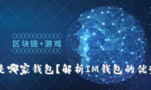 IM钱包是哪家钱包?解析IM钱包的优势和劣势