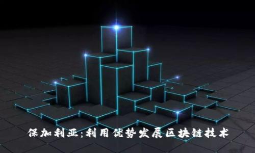 保加利亚:利用优势发展区块链技术
