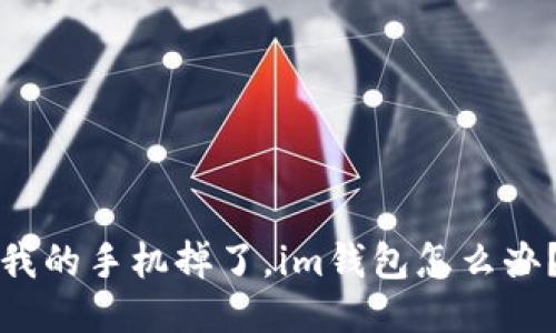 我的手机掉了,im钱包怎么办?