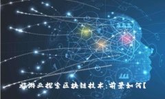 旅游业探索区块链技术：