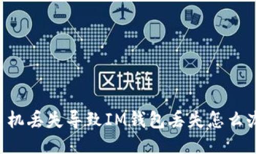 手机丢失导致IM钱包丢失怎么办?