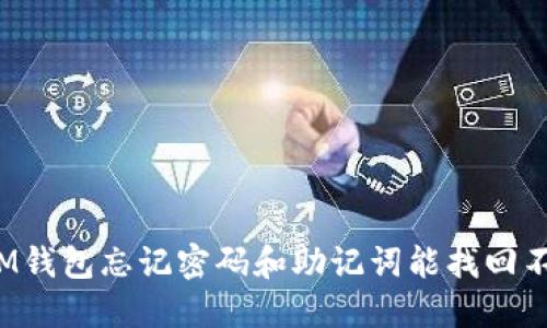 IM钱包忘记密码和助记词能找回不?