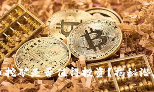 区块链海贝币挖矿是否值得投资?揭秘潜在收益与风险
