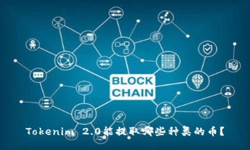 Tokenim 2.0能提取哪些种类的币?