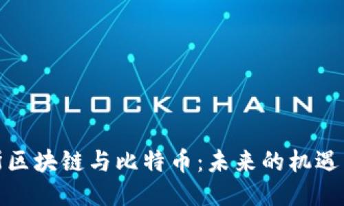 俄罗斯区块链与比特币:未来的机遇与挑战