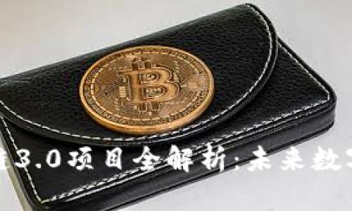 虚拟币区块链3.0项目全解析:未来数字经济的先锋
