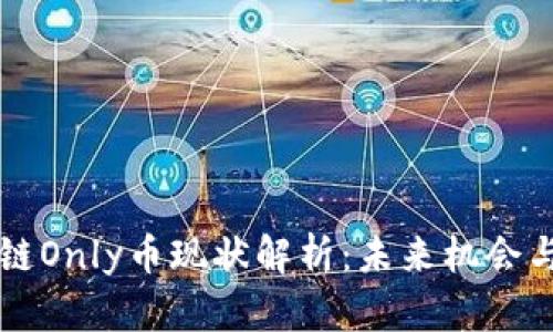 区块链Only币现状解析:未来机会与挑战