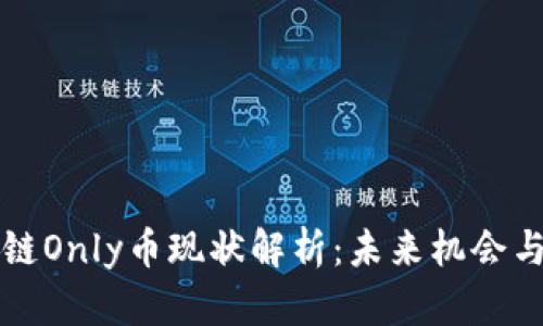 区块链Only币现状解析:未来机会与挑战