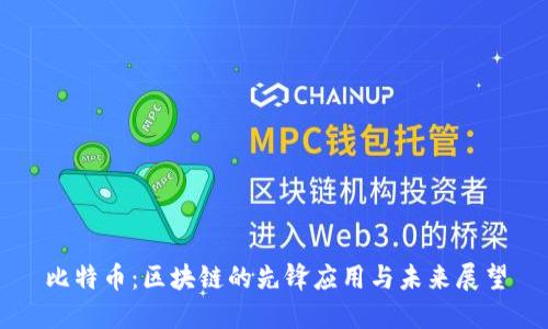 比特币:区块链的先锋应用与未来展望