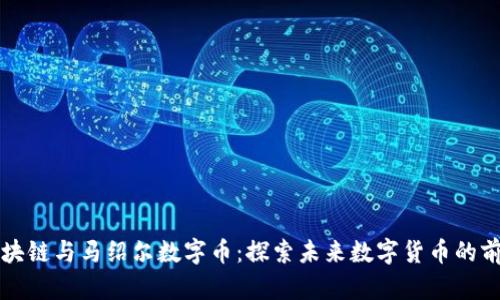 区块链与马绍尔数字币:探索未来数字货币的前景