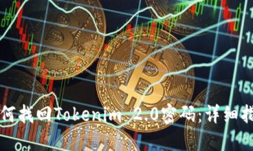 如何找回Tokenim 2.0密码:详细指南