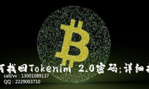 如何找回Tokenim 2.0密码:详细指南