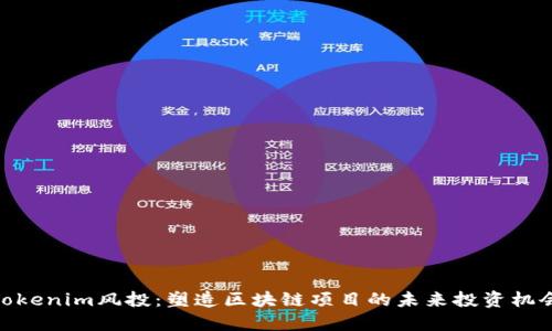 Tokenim风投:塑造区块链项目的未来投资机会
