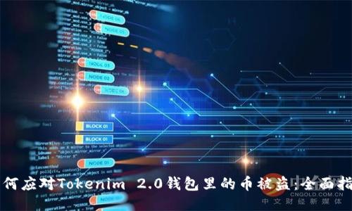 如何应对Tokenim 2.0钱包里的币被盗:全面指南