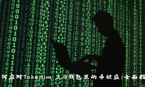 如何应对Tokenim 2.0钱包里的币被盗:全面指南