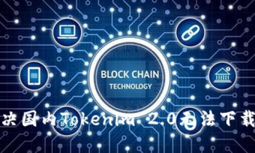 如何解决国内Tokenim 2.0无法下载的问题?