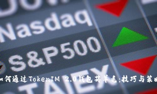 如何通过TokenIM 2.0钱包薅羊毛:技巧与策略