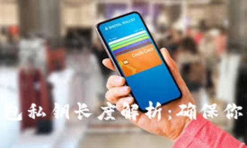 Tokenim 2.0钱包私钥长度解析:确保你的数字资产安全