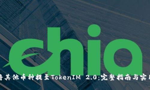 如何将其他币种提至TokenIM 2.0:完整指南与实用技巧