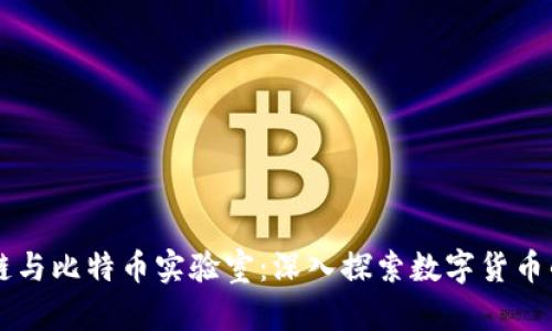 区块链与比特币实验室:深入探索数字货币的未来