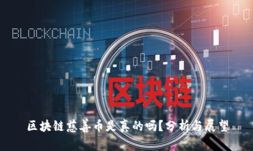 区块链慈善币是真的吗?分析与展望