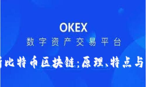 全面解析比特币区块链:原理、特点与未来展望