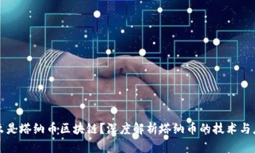 什么是塔纳币区块链?深度解析塔纳币的技术与应用