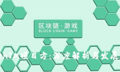 TokenIM项目方:深度解析与发展愿景