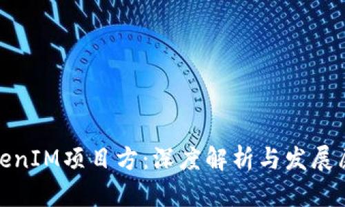 TokenIM项目方:深度解析与发展愿景