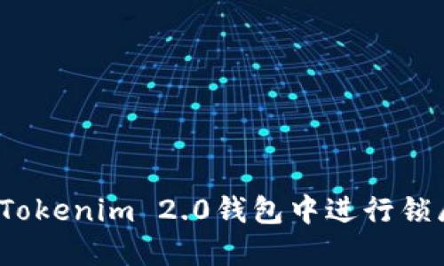 如何在Tokenim 2.0钱包中进行锁屏设置?