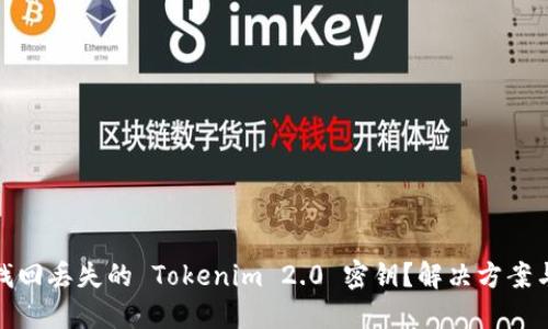 如何找回丢失的 Tokenim 2.0 密钥?解决方案与步骤