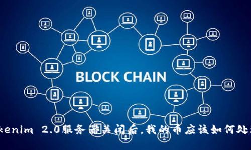 Tokenim 2.0服务器关闭后,我的币应该如何处理?