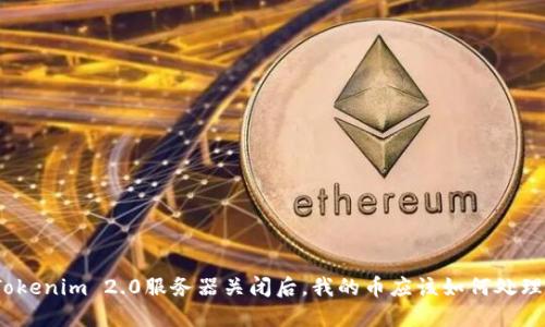 Tokenim 2.0服务器关闭后,我的币应该如何处理?