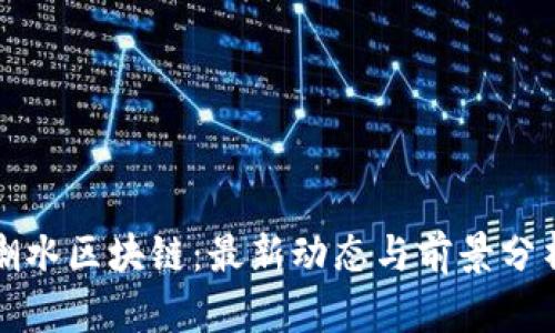 潮水区块链:最新动态与前景分析