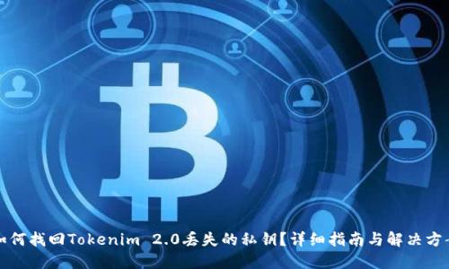 如何找回Tokenim 2.0丢失的私钥?详细指南与解决方案