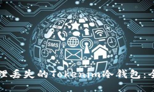 如何处理丢失的Tokenim冷钱包:全面指南