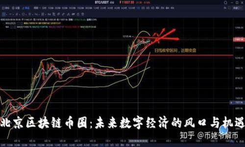 北京区块链币圈:未来数字经济的风口与机遇