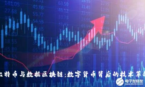 比特币与数据区块链:数字货币背后的技术革命
