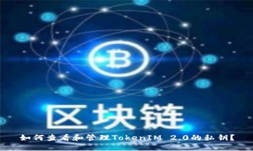 如何查看和管理TokenIM 2.0的私钥?