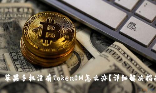 : 苹果手机没有TokenIM怎么办?详细解决指南