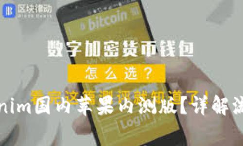 如何参与Tokenim国内苹果内测版?详解流程与注意事项