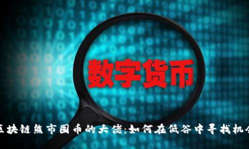 区块链熊市囤币的大佬:如何在低谷中寻找机会
