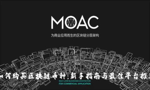 如何购买区块链币种:新手指南与最佳平台推荐