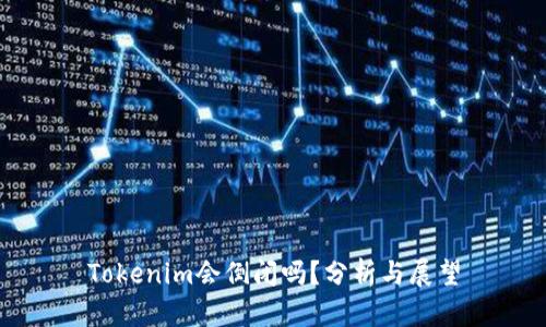 Tokenim会倒闭吗?分析与展望