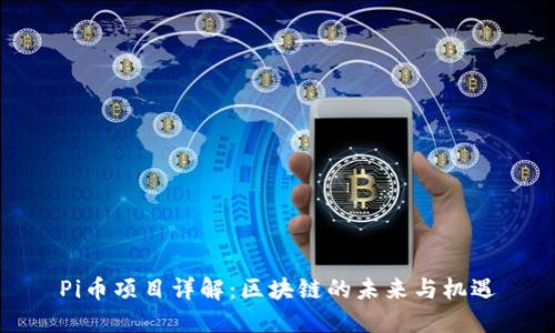 Pi币项目详解:区块链的未来与机遇