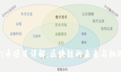 Pi币项目详解:区块链的未来与机遇